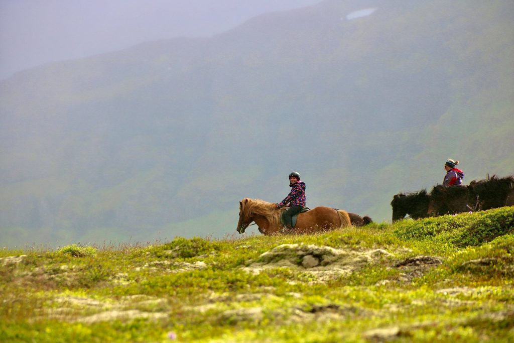 join a horseback riding tour in Iceland