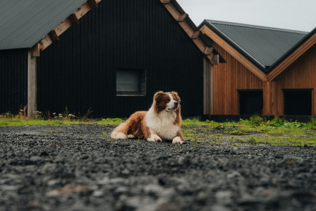 an Autumn trip to Iceland september