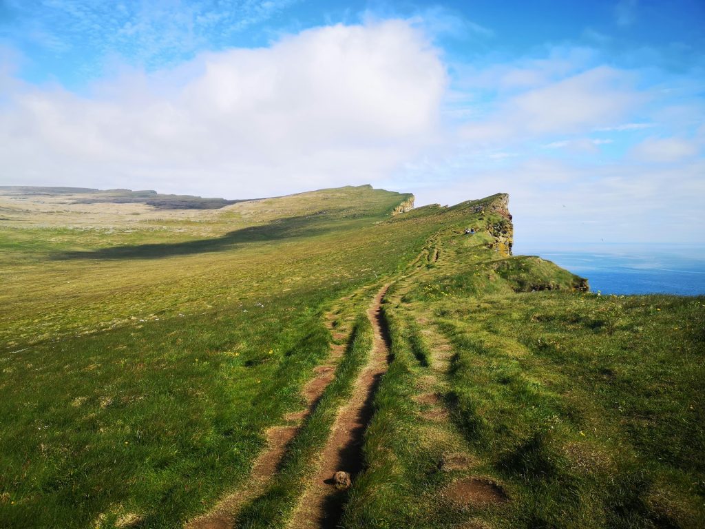 the Látrabjarg cliff in Iceland Westfjord area 