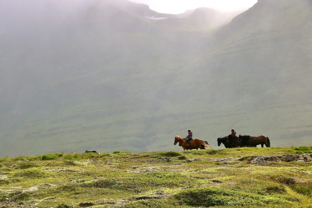 Riding a icelandic horse in Iceland