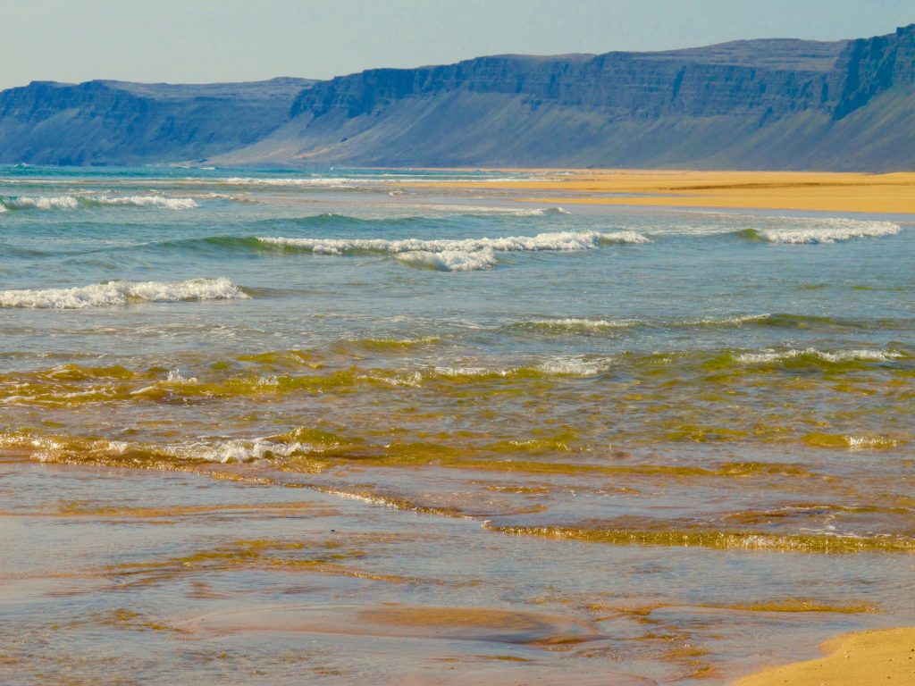 the  Raudasandur beach in westfjord iceland