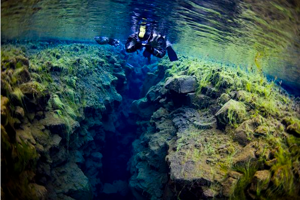 you need to book a tour to snorkeling in Iceland