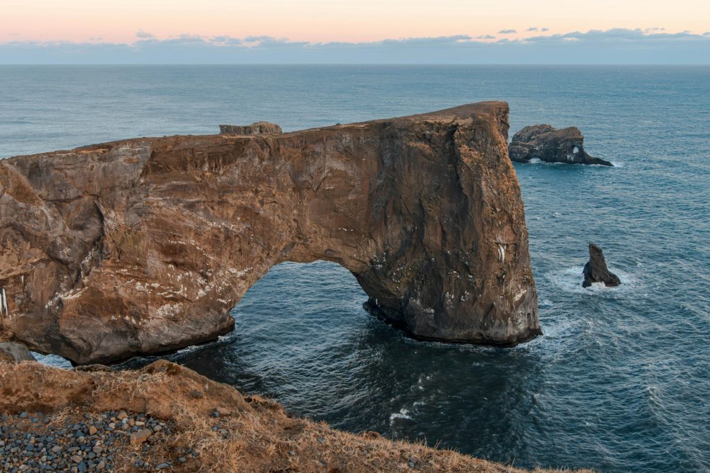 you can see the puffin at Dyrholaey rock arch in south iceland in summer